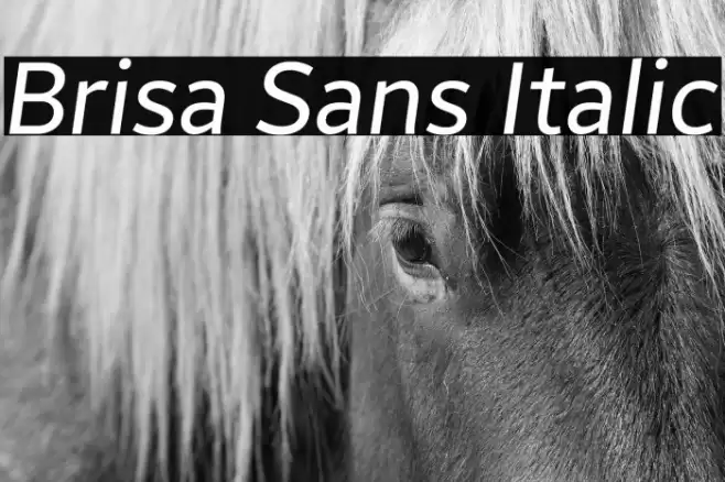 Brisa Sans Italic Font examples