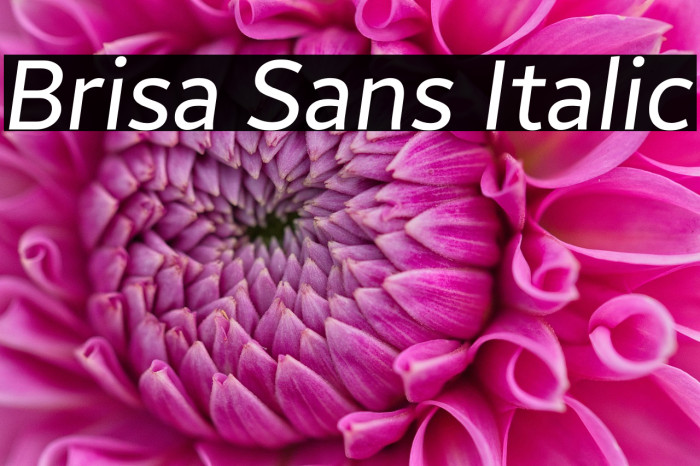 Brisa Sans Italic Example 3