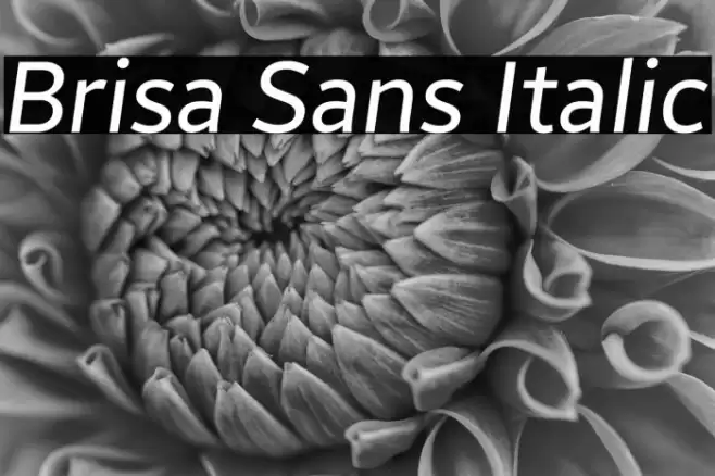 Brisa Sans Italic Font examples