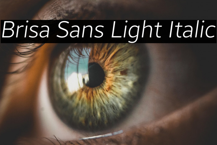 Brisa Sans Light Italic Example 1
