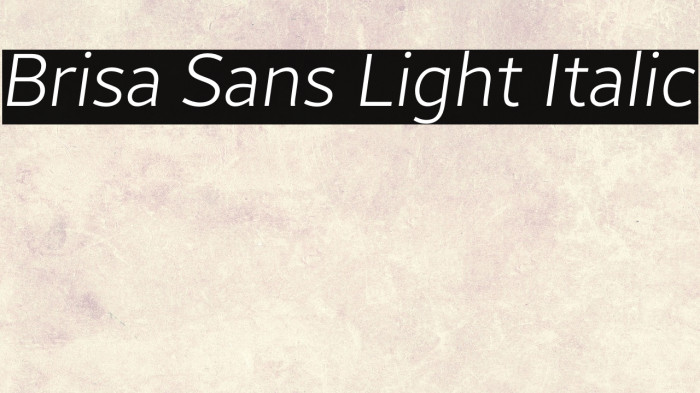 Brisa Sans Light Italic Example 3
