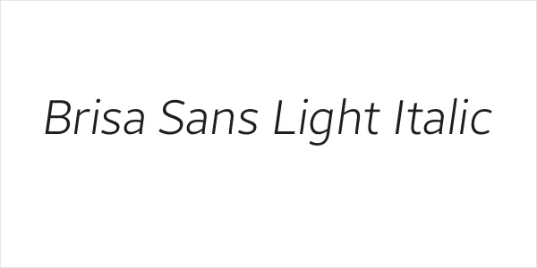 Brisa Sans Light Italic Logo