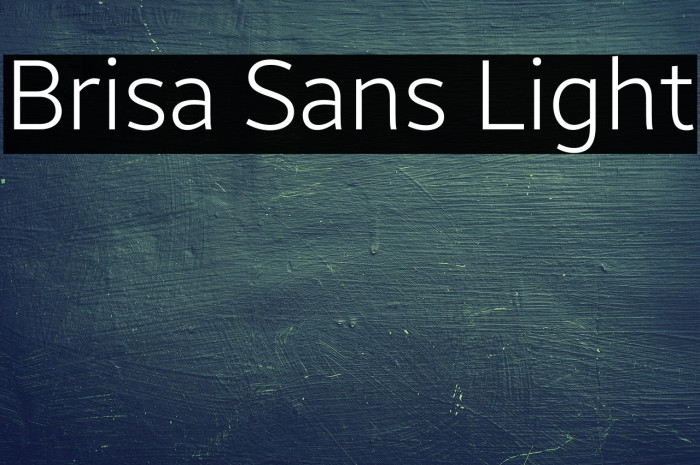 Brisa Sans Light Example 1