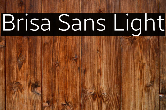 Brisa Sans Light Example 3