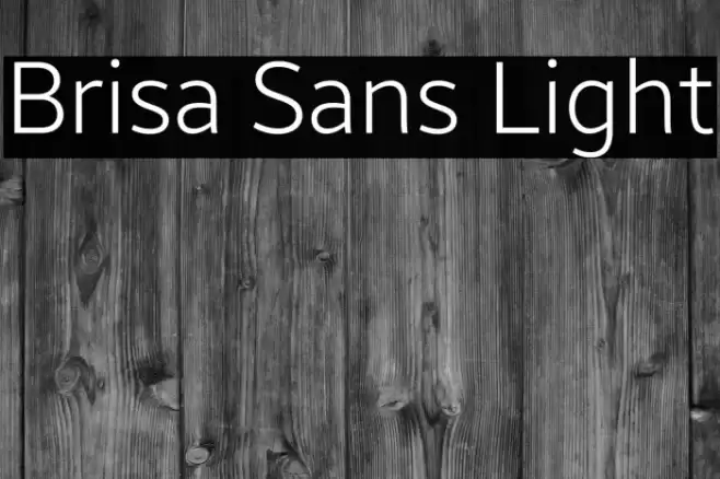 Brisa Sans Light Font examples