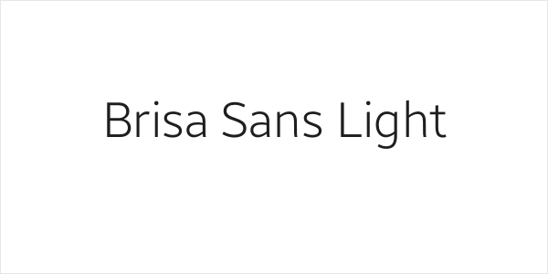 Brisa Sans Light Logo