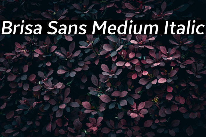 Brisa Sans Medium Italic Example 1