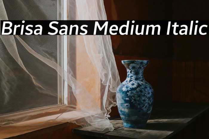 Brisa Sans Medium Italic Example 3