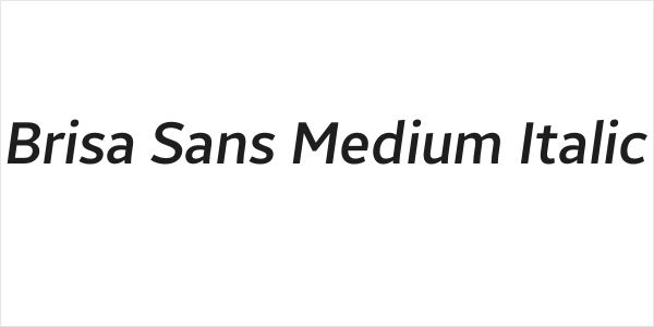 Brisa Sans Medium Italic Logo