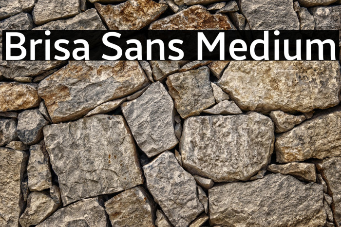 Brisa Sans Medium Example 1