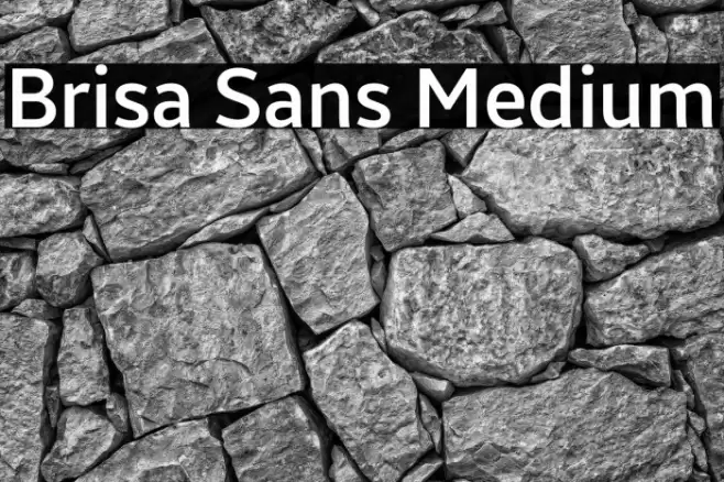 Brisa Sans Medium Font examples