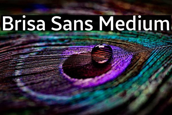 Brisa Sans Medium Example 2