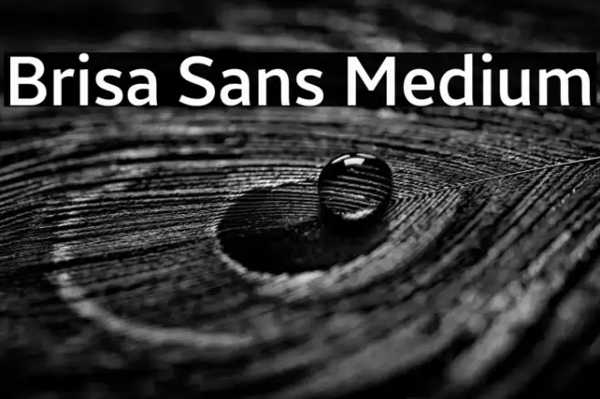 Brisa Sans Medium Font examples