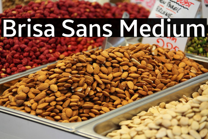 Brisa Sans Medium Example 3