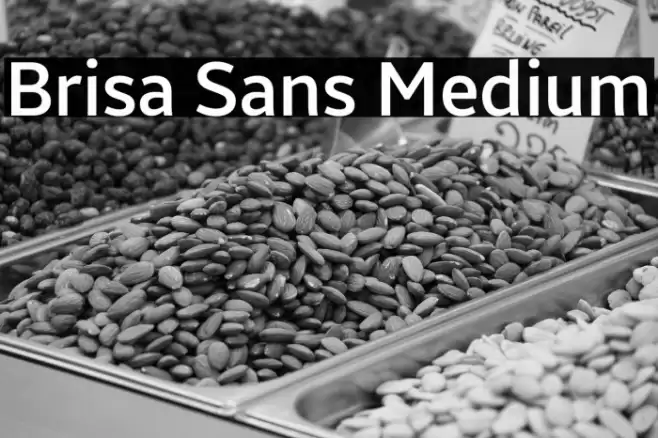 Brisa Sans Medium Font examples