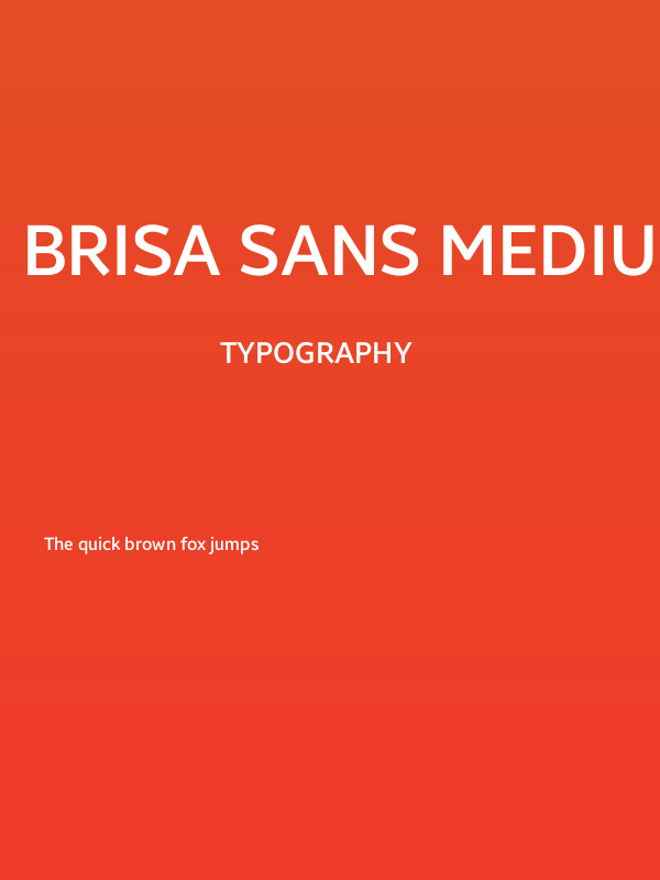 Brisa Sans Medium Poster