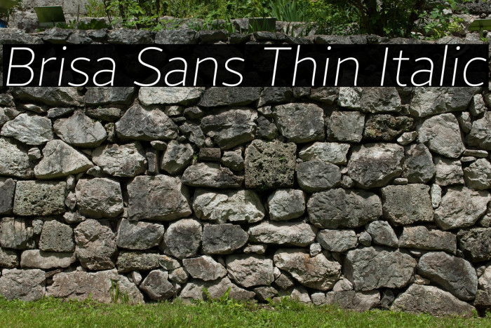 Brisa Sans Thin Italic Example 3