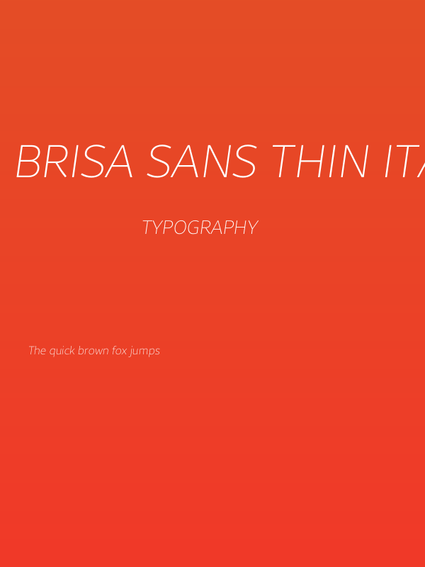Brisa Sans Thin Italic Poster