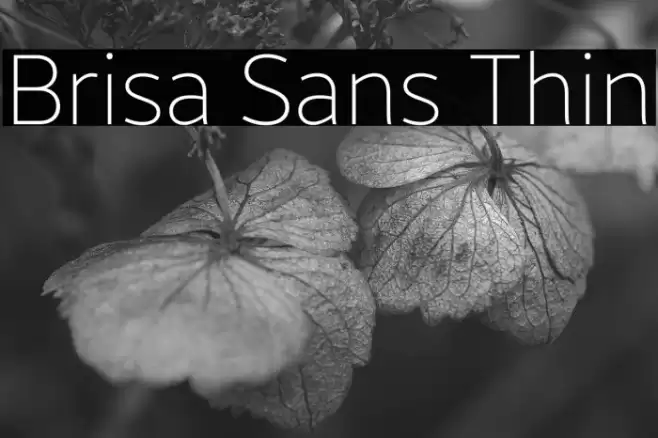 Brisa Sans Thin Font examples