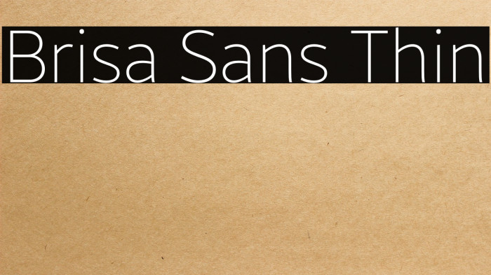 Brisa Sans Thin Example 2