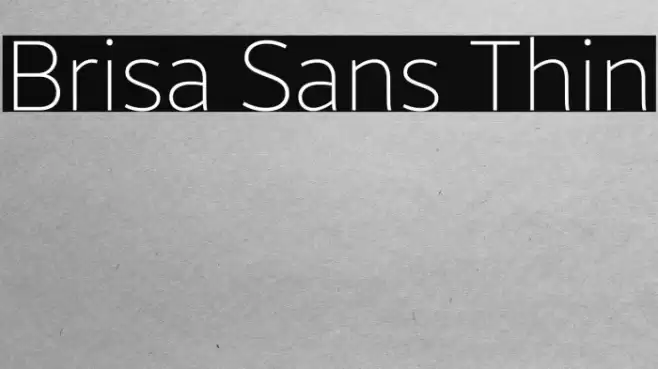 Brisa Sans Thin Font examples