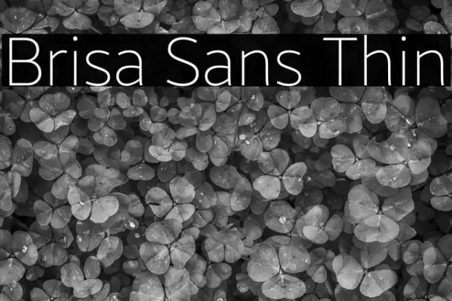 Brisa Sans Thin Font examples