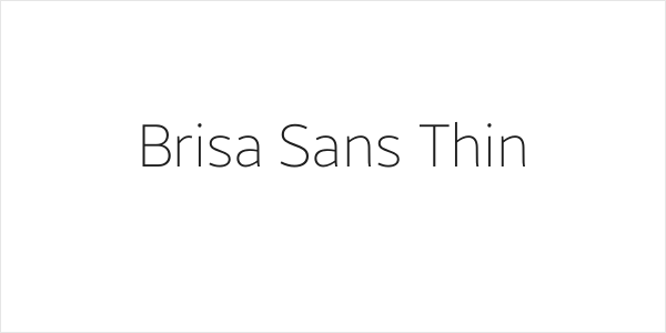 Brisa Sans Thin Logo