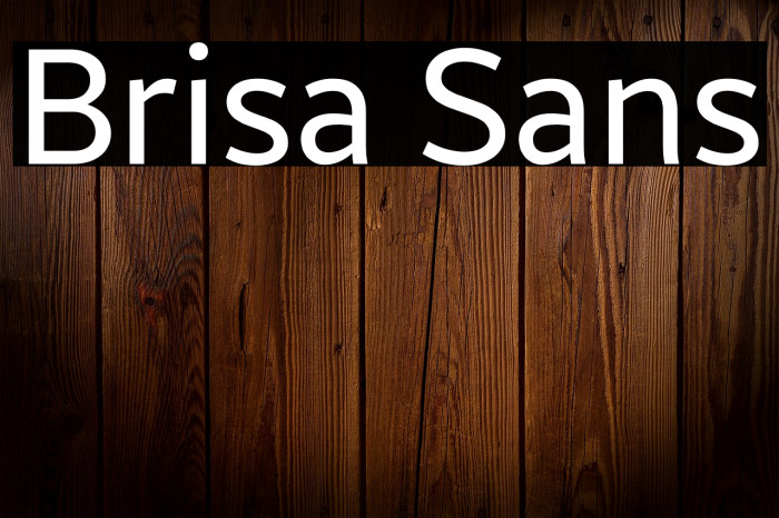 Brisa Sans Example 1