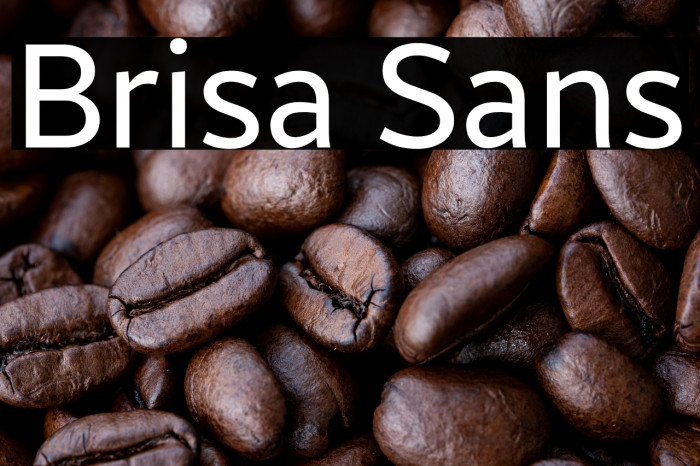 Brisa Sans Example 3
