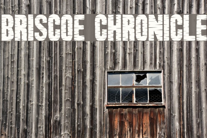 Briscoe Chronicle Font examples