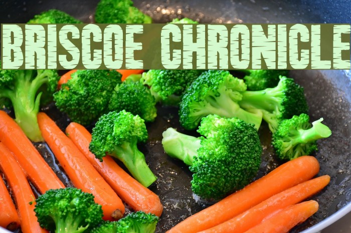 Briscoe Chronicle Font examples