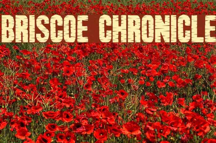 Briscoe Chronicle Font examples