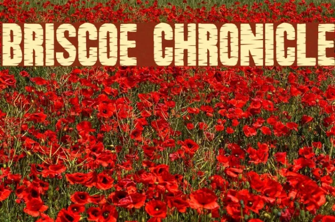 Briscoe Chronicle Example 3