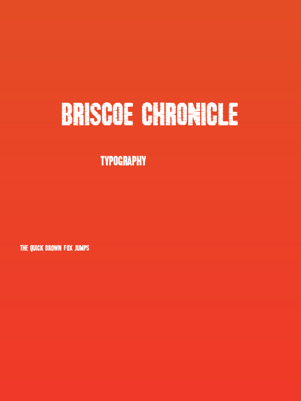 Briscoe Chronicle Poster