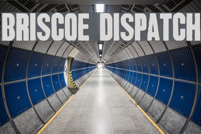 Briscoe Dispatch Font examples