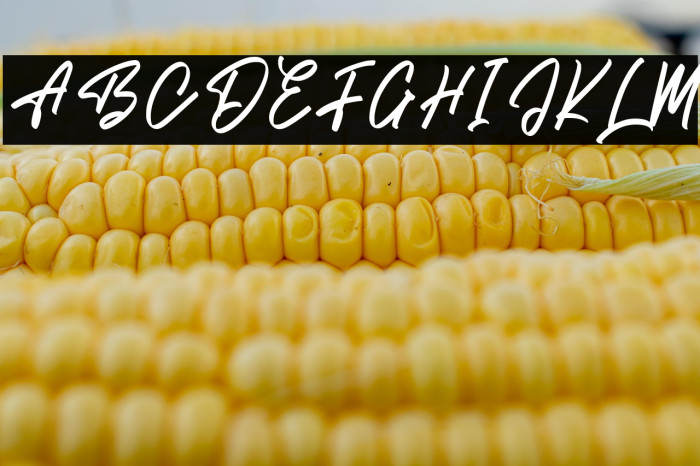 Brish Hair Example 2