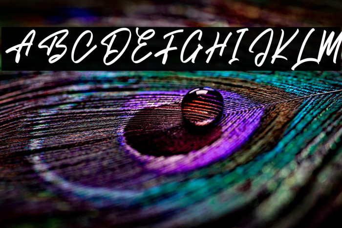 Brish Hair Example 3