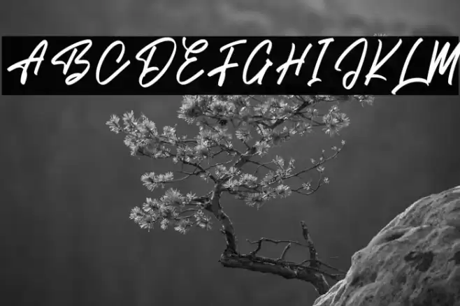 Brish Hair Font examples