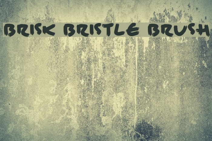 Brisk Bristle Brush Font examples