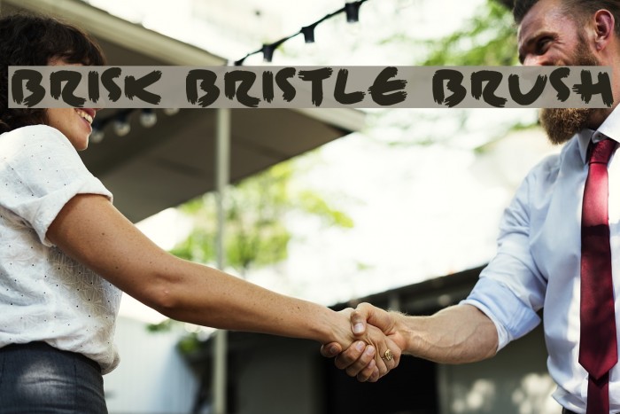 Brisk Bristle Brush Font examples