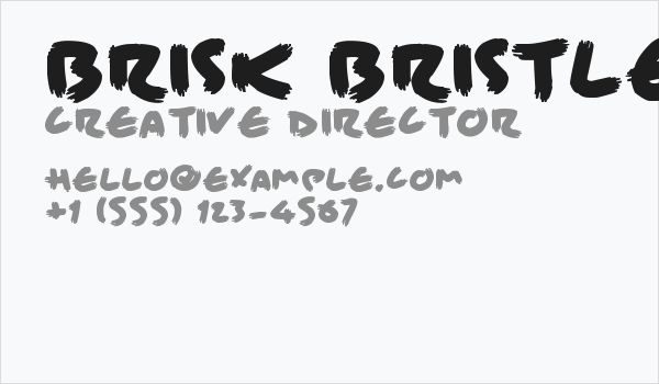 Brisk Bristle Brush Business Card