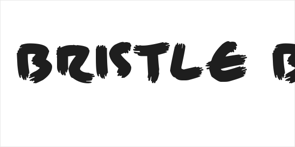 Brisk Bristle Brush Logo