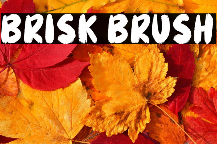 Brisk Brush Example 1