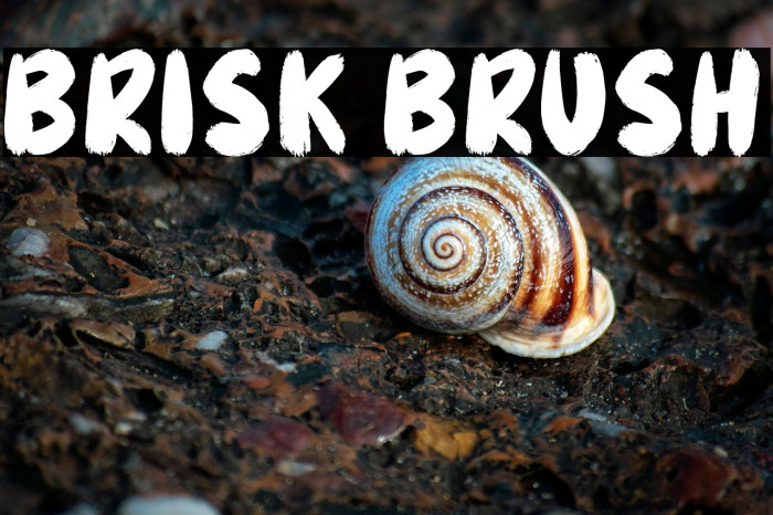 Brisk Brush Example 3