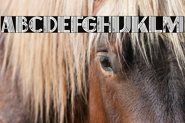 Brisk Inline Grunge Example 1