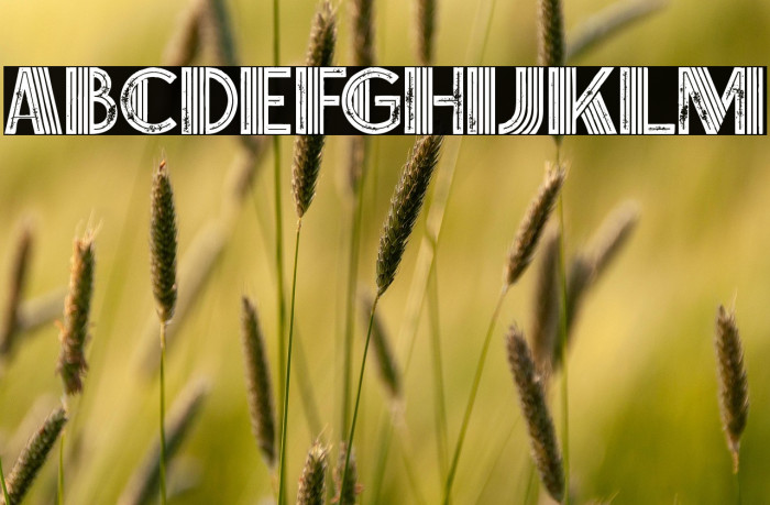 Brisk Inline Grunge Example 3