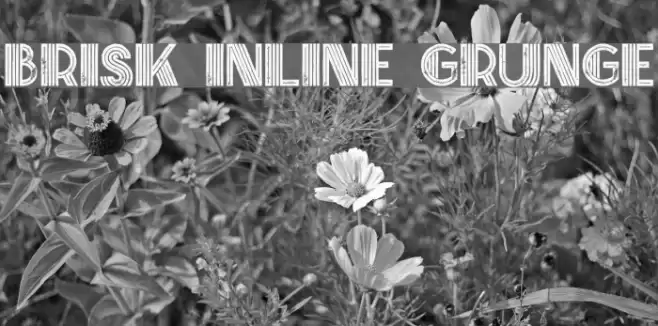 Brisk Inline Grunge Font examples
