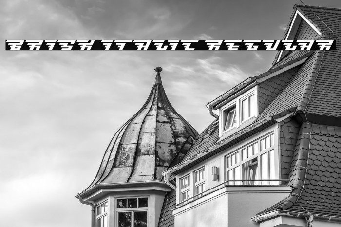 Brisk [italic] Regular Example 2