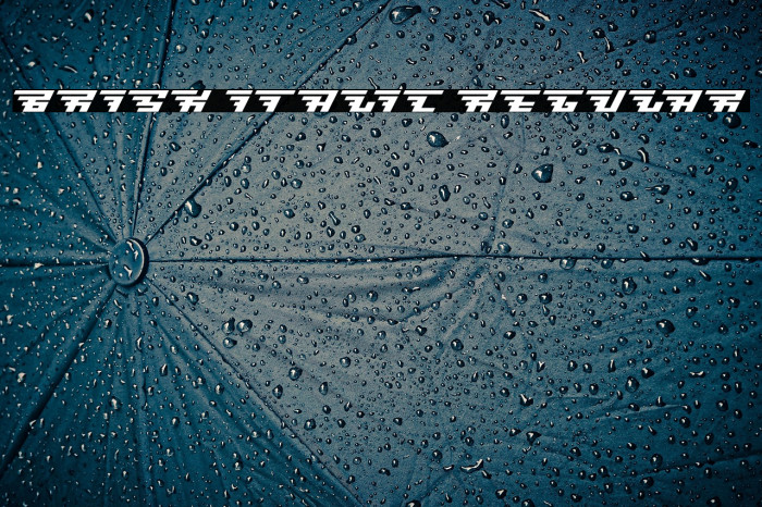 Brisk [italic] Regular Example 3