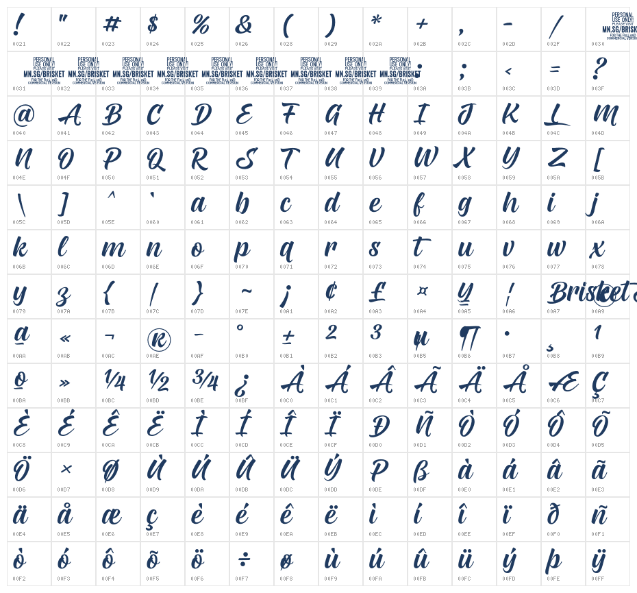 Brisket Script PERSONAL USE Regular Character Map